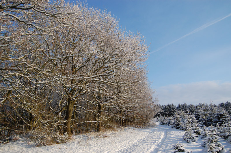 Staun Hede, Farstrup
