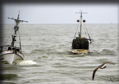 o6/95/964795/1/131026069.D7DWjoTu.n1.jpg