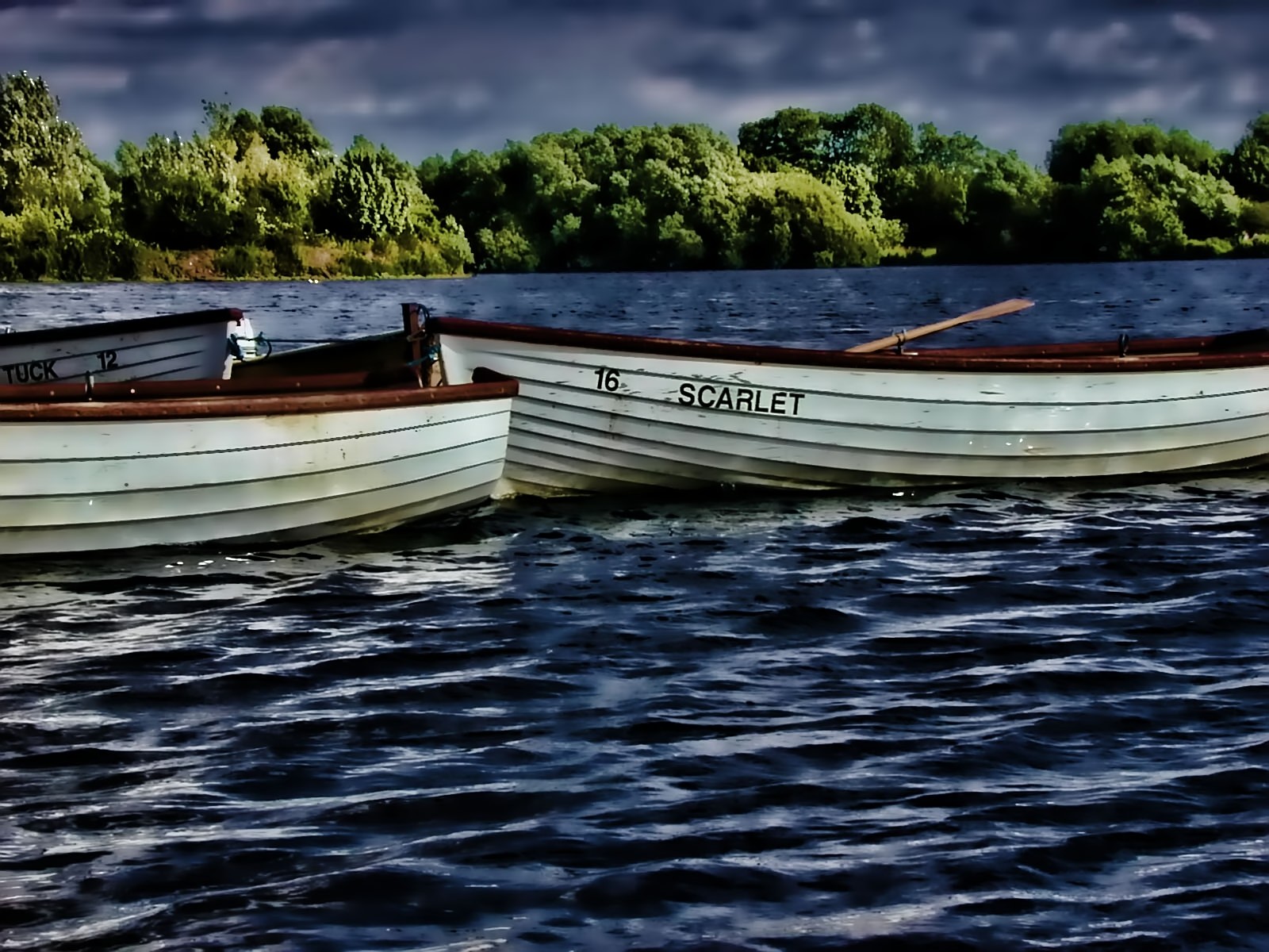 rowboats 1_filtered.jpg