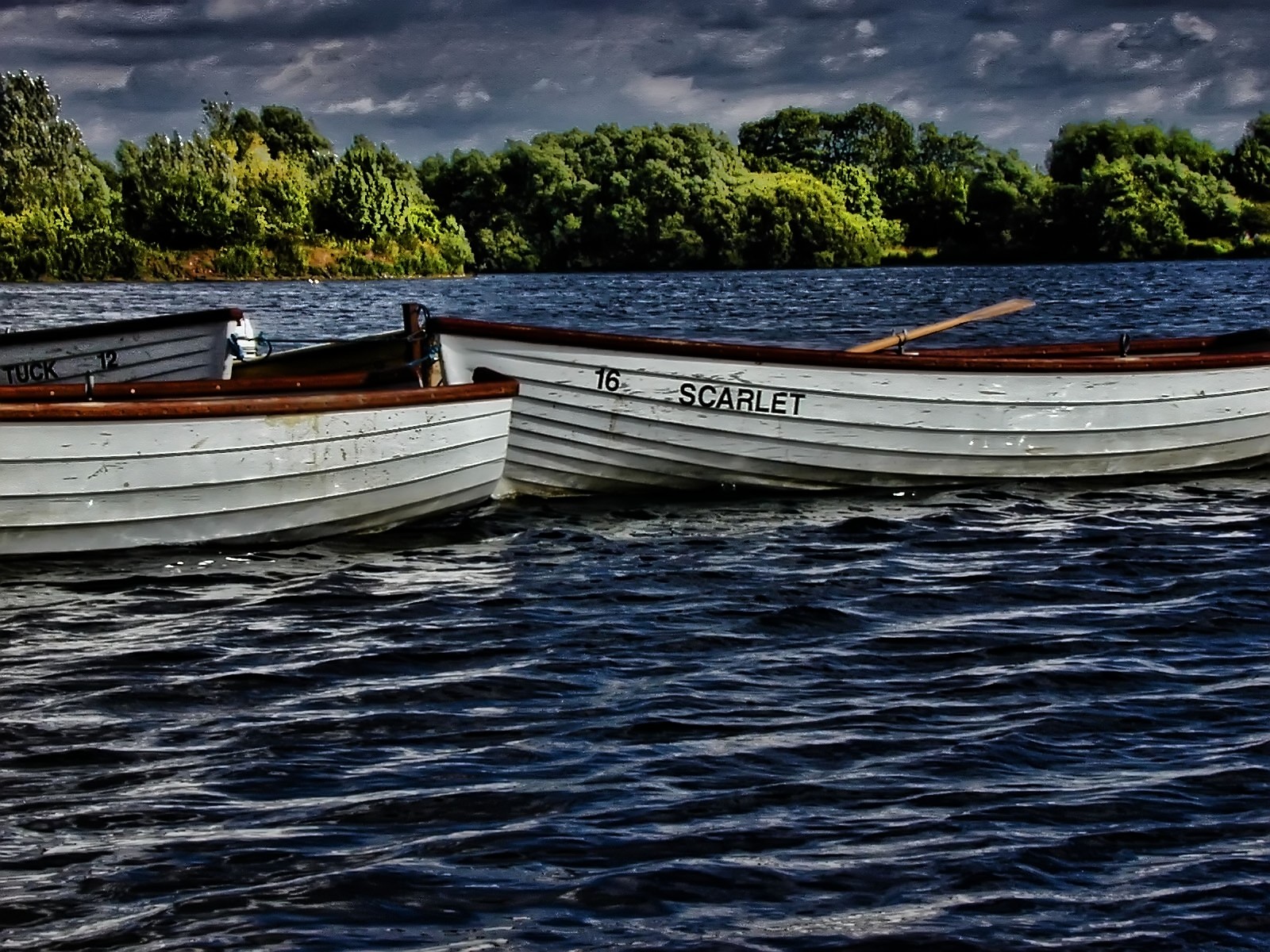 rowboats 4_filtered.jpg