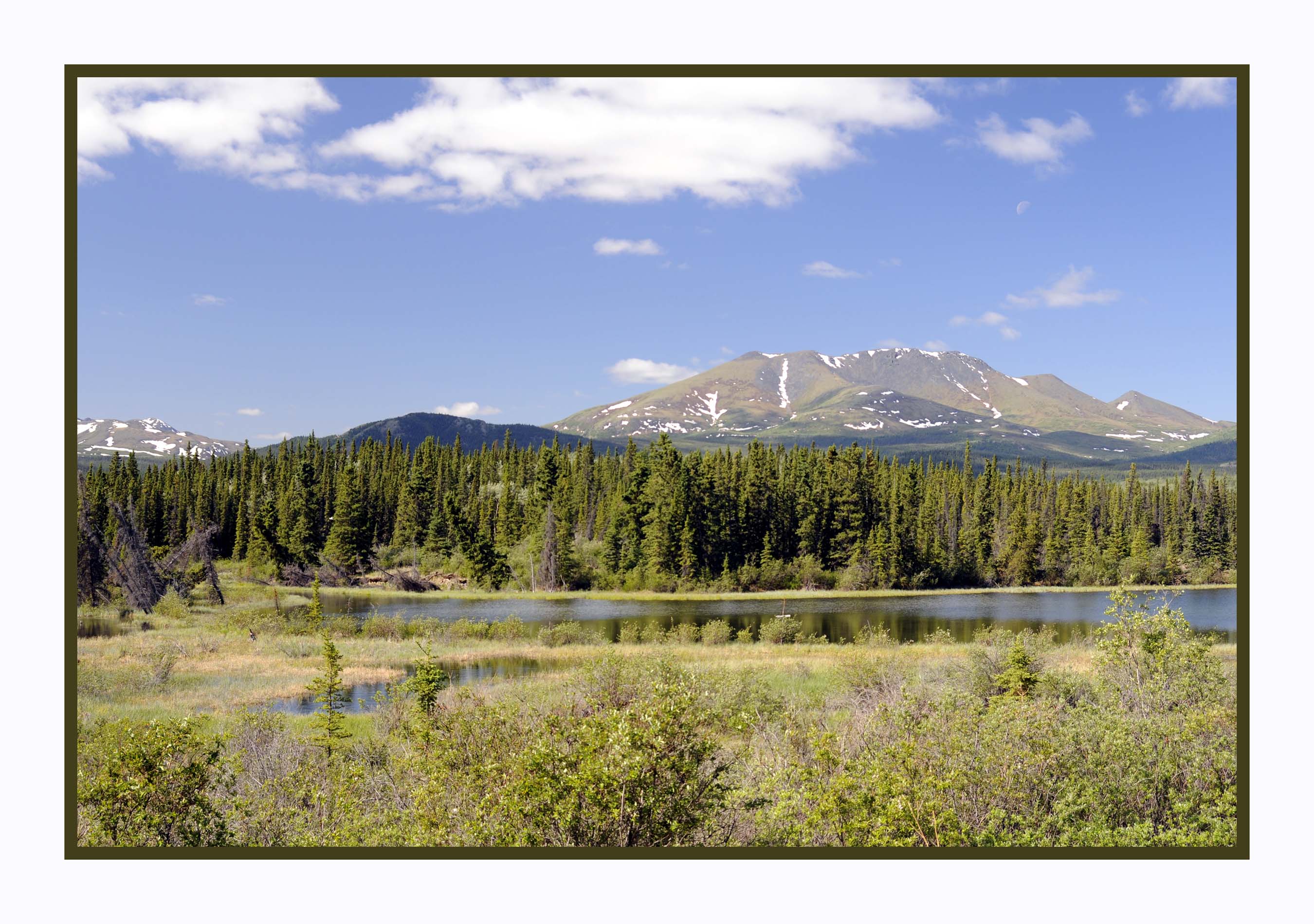 Klondike Highway