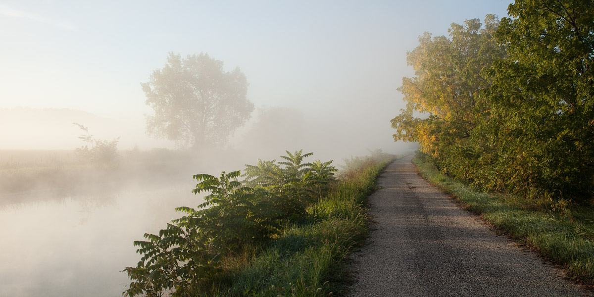 Early Morning Fog 