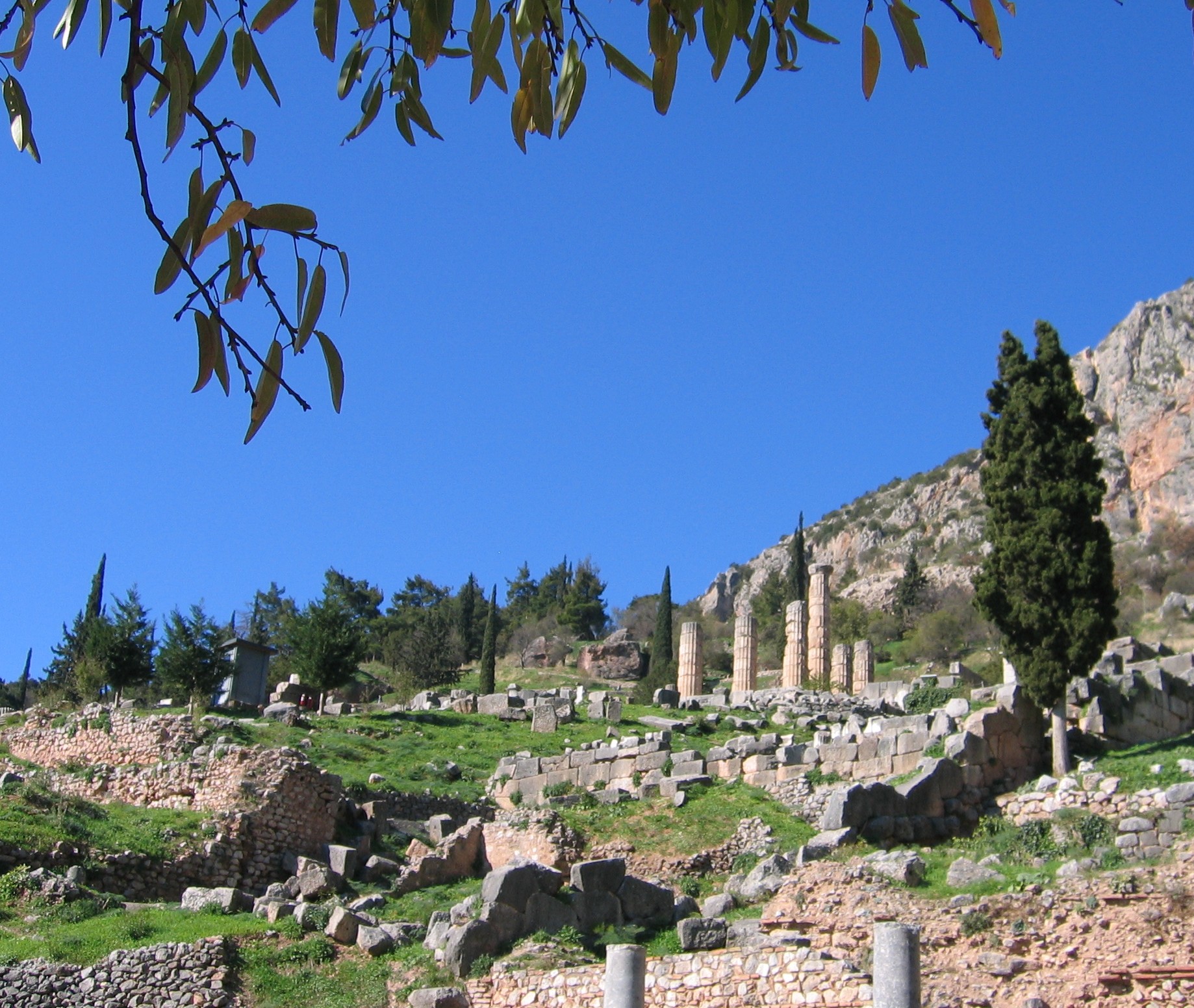 Delphi