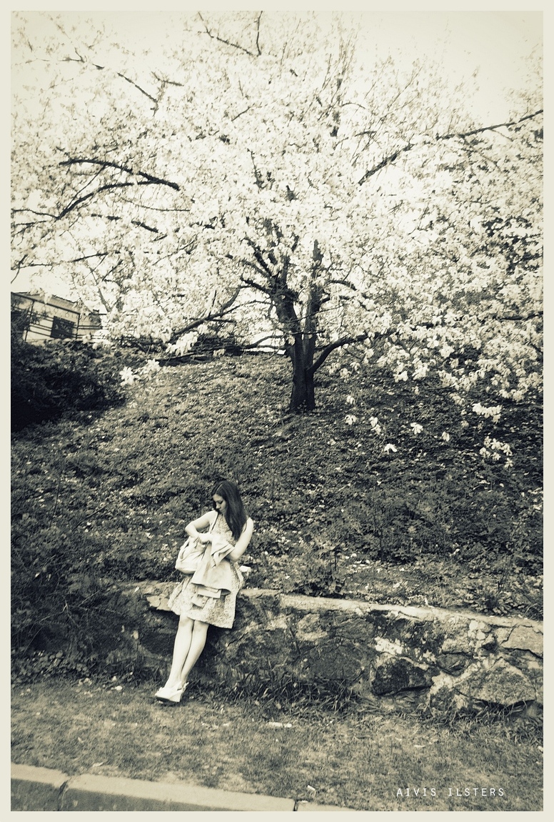 Magnolia