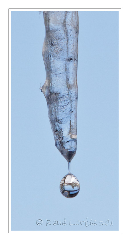 Larme de glace<br>Ice tear