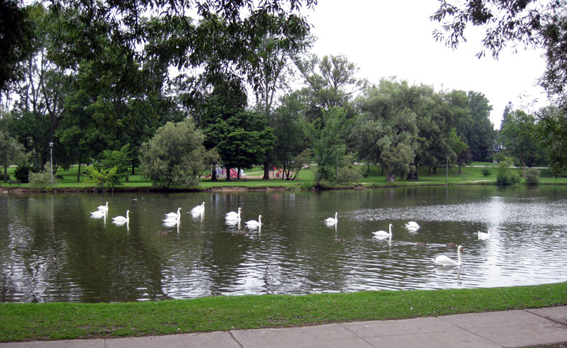 The Festival theatre faces a lake of swans and ducks