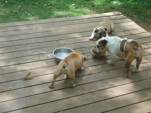 DSCN2811.JPG