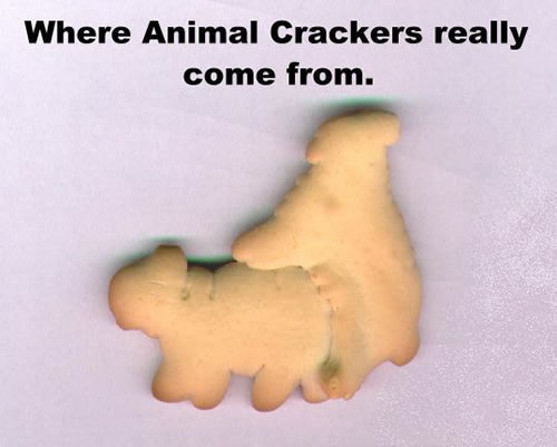 cracka.jpg