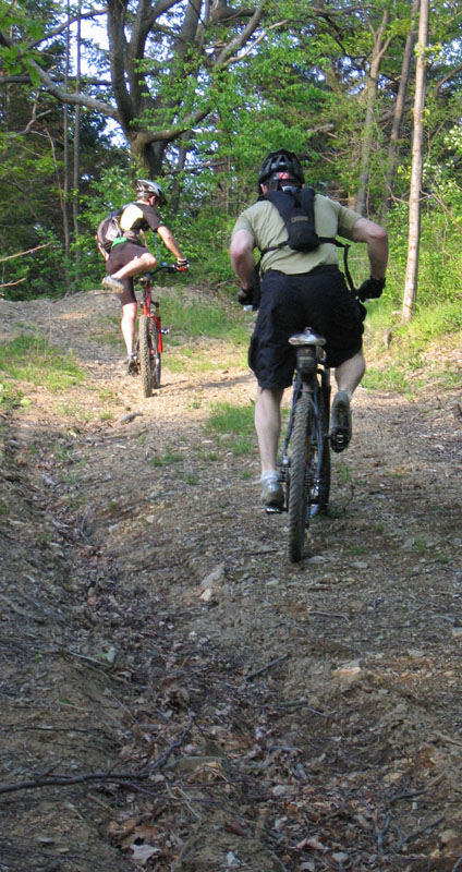IMG_9462ps 800h.jpg