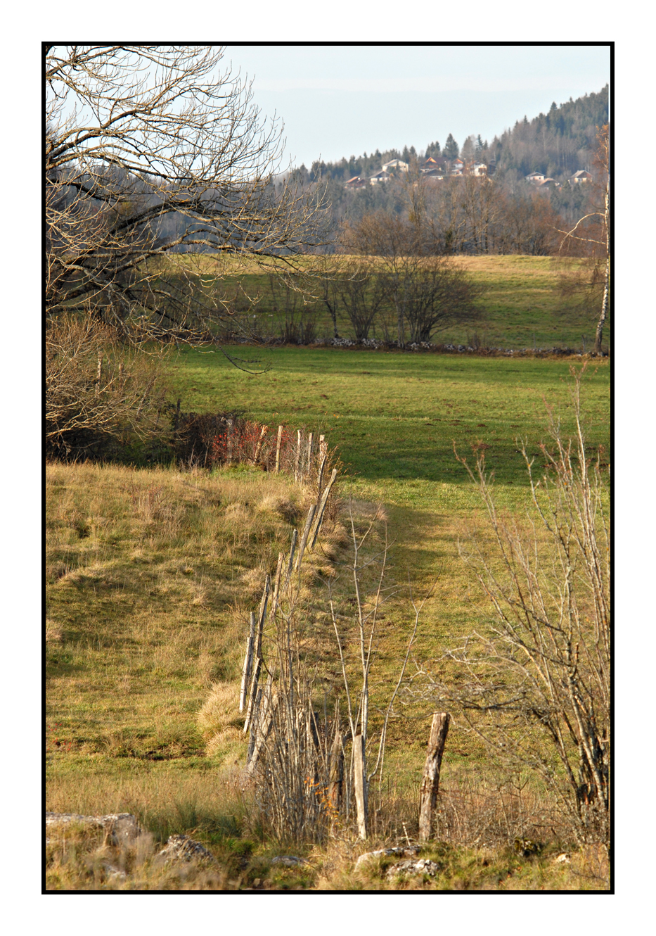 Paysage Longchaumois JURA