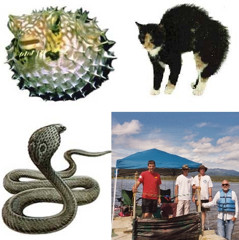 how nature says do not touch.jpg