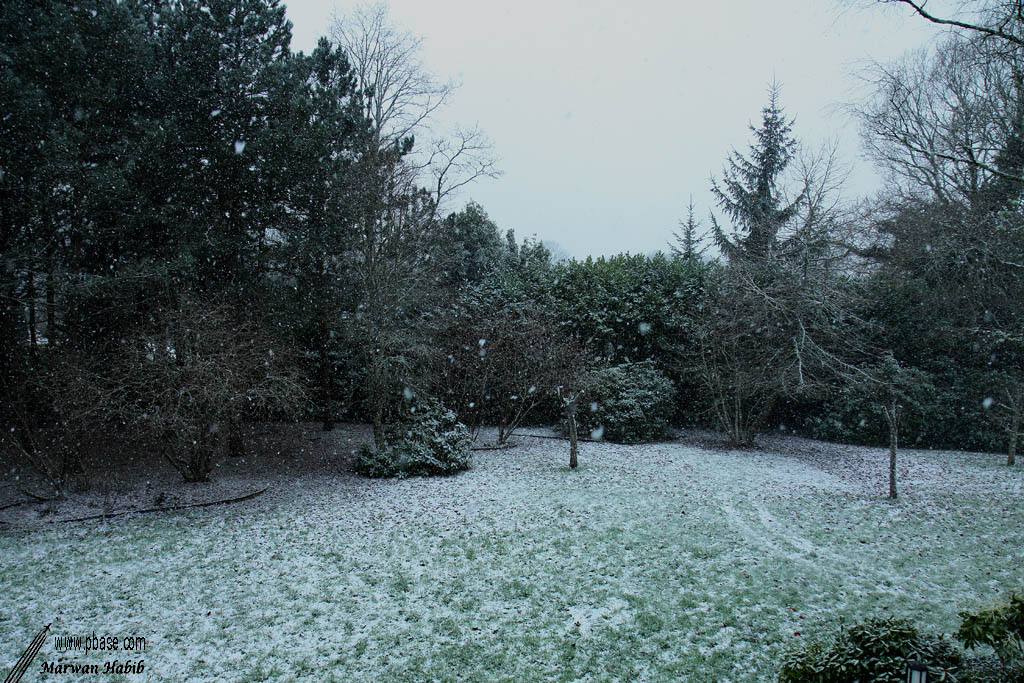 09-01-2010 : Winter snow / Neige dhiver