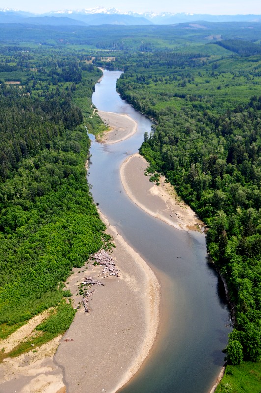 Quilayute River and Olympic Mountain
