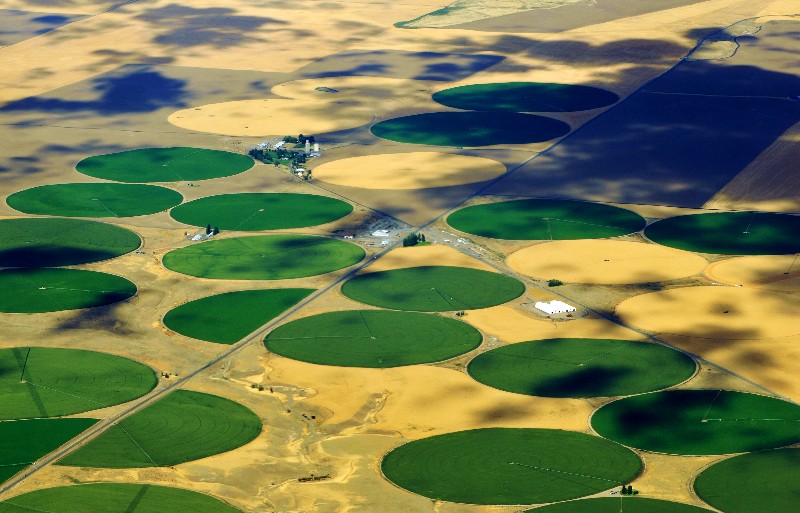 crop circles