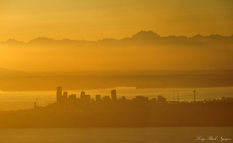 Orange Seattle