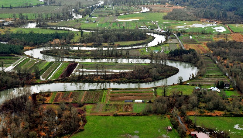 Life in the flood plain
