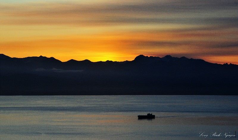 coming into port