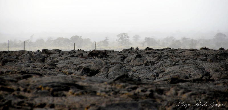 across the lave field