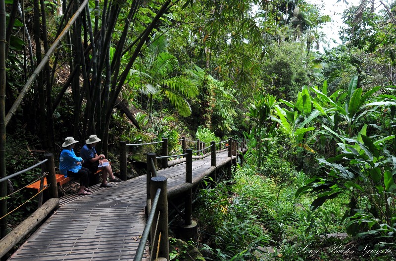 start of Hawaii Tropical Botanical Garden