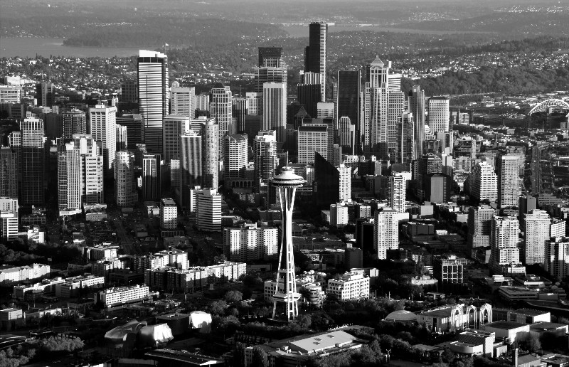 Space Needle the Unique Shape