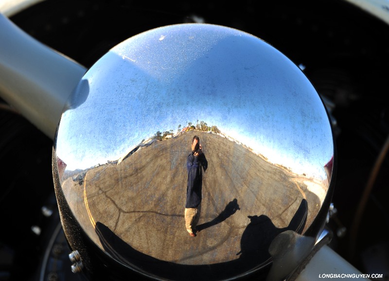 Palm Springs and Me
