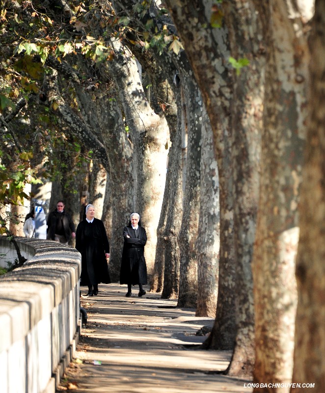 nuns on walk