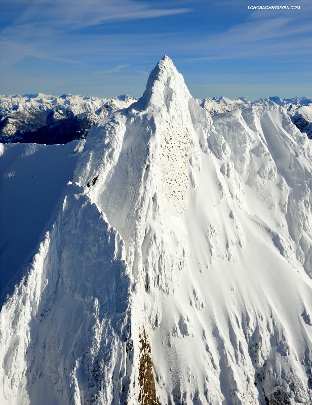 The Needle