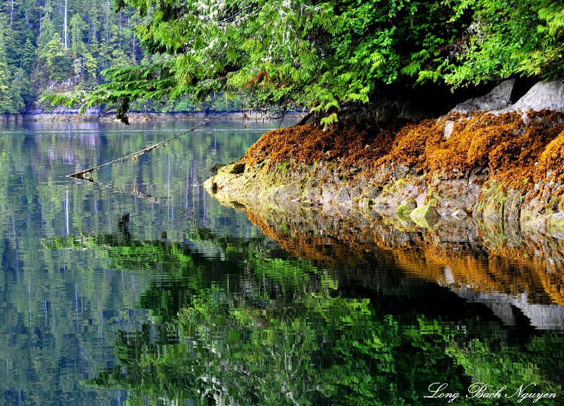 Nature Reflection