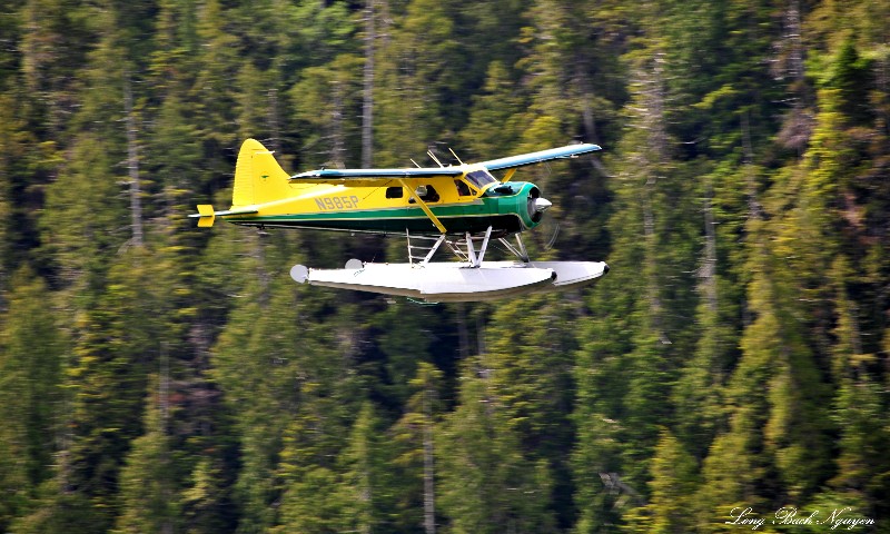 Green Hornet at Vernon Bay