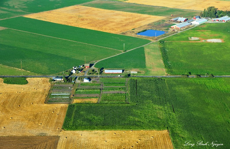 fertile land on Whidbey Island