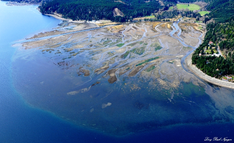 Hamma Hamma Oysters farm and river, Eldon Wa