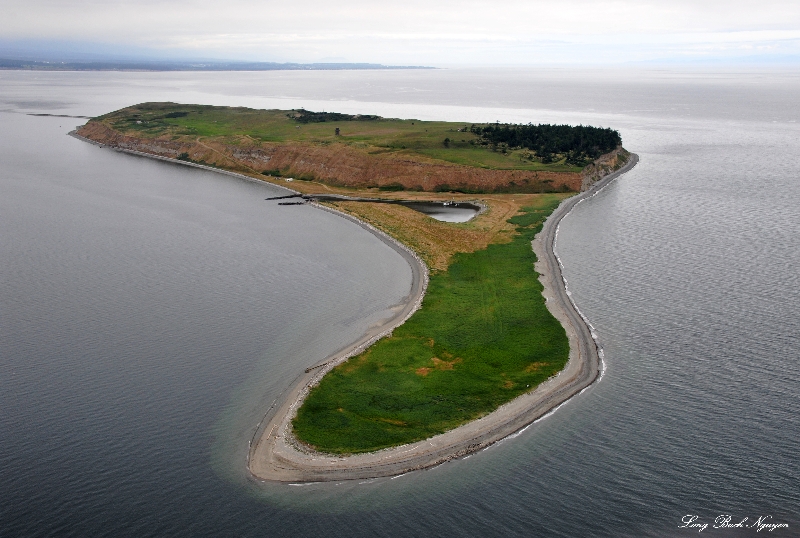 Protection Island, Strait of Juan de Fuca, Washington