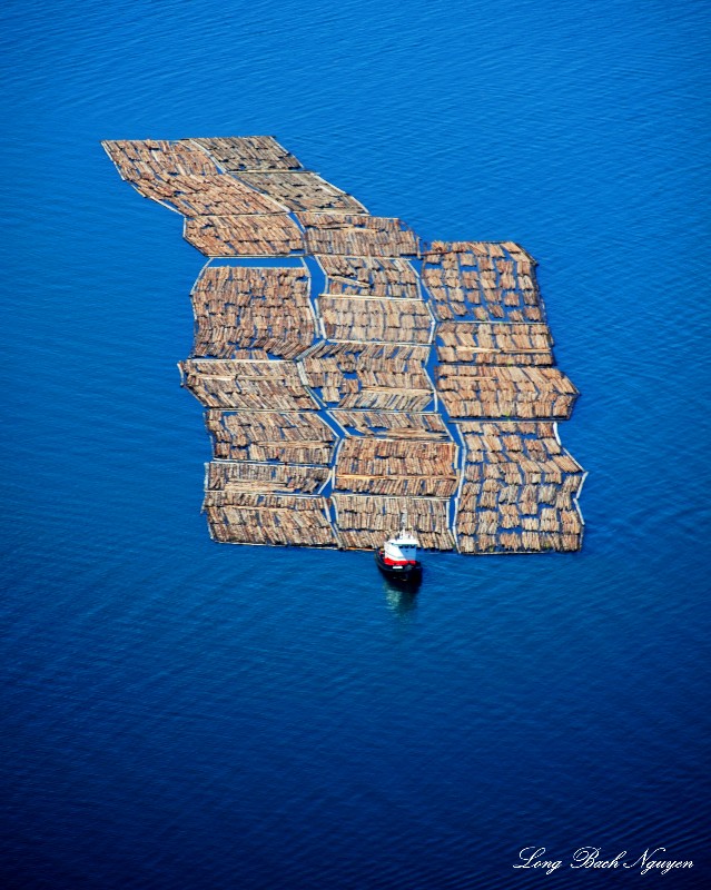 tugboat and logs