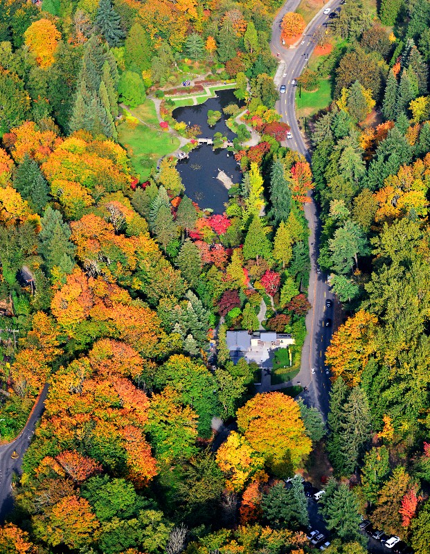 Japanese Garden, Washington Park Arboretum, Seattle, Washington  