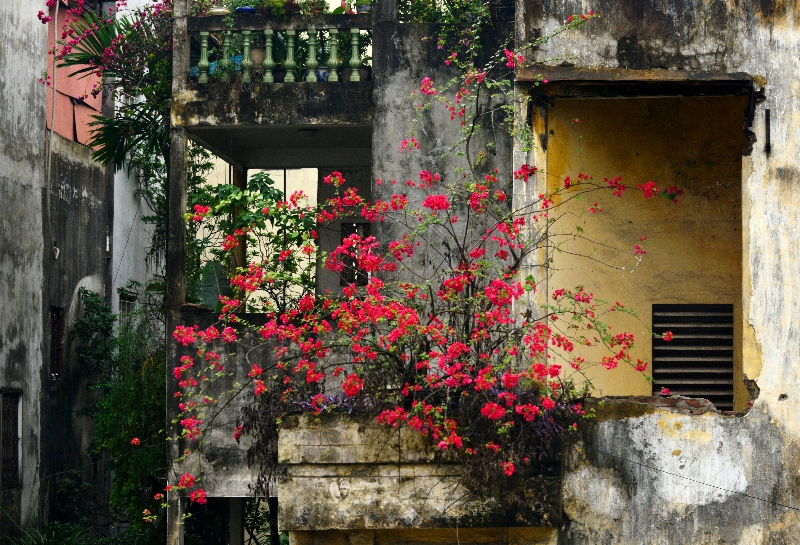 colorful balcony, Hanoi, Vietnam  