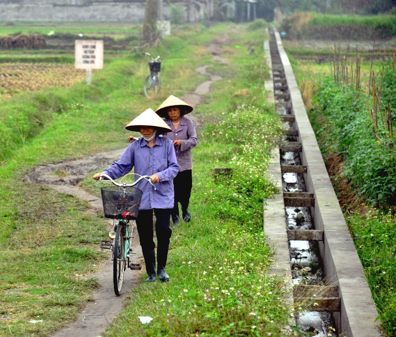 going to market, Thuong Thong, Vietnam  