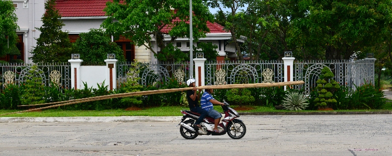 very long bamboo, Da Nang, Vietnam  