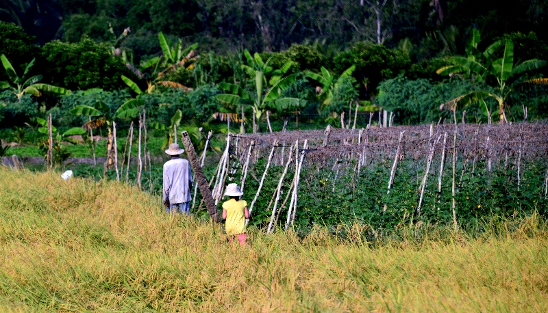 walking home, Ben Tre, Mekong Delta, Vietnam  