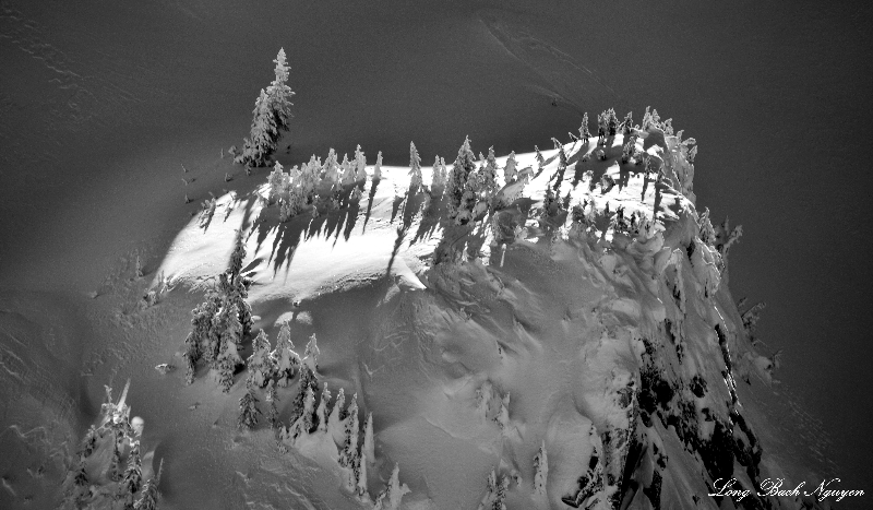 life on a bluff, Cascade Mountains, Washington 