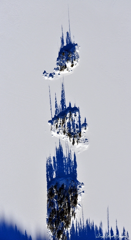 trees on islands, Lake Dorothy, Cascade Mountains, Washington  