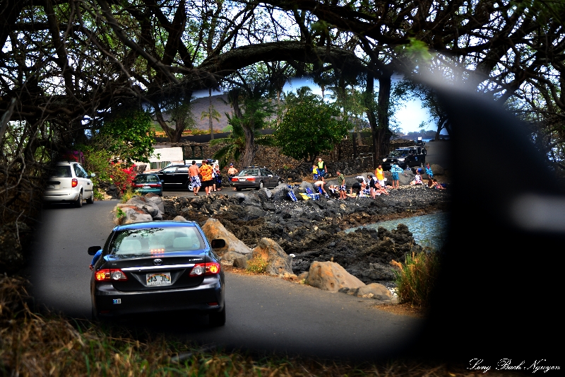 Turtle town, Makena Road, Maui, Hawaii  