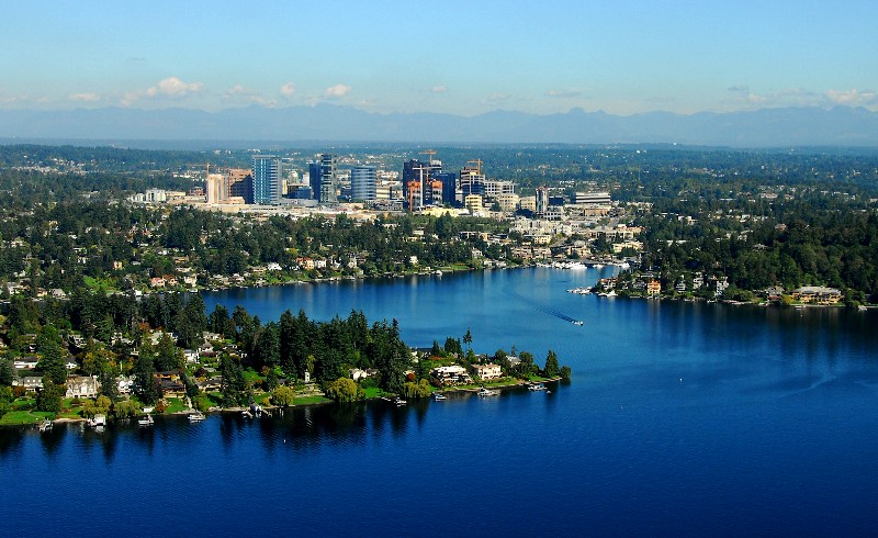 Looking at Bellevue