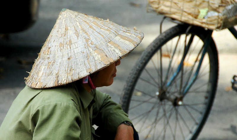 another symbol of Vietnam