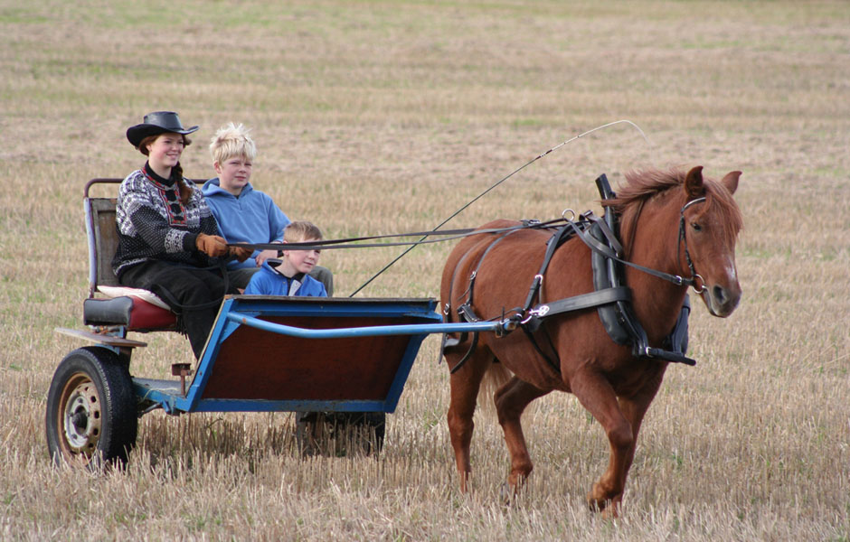 carriage-ride.jpg