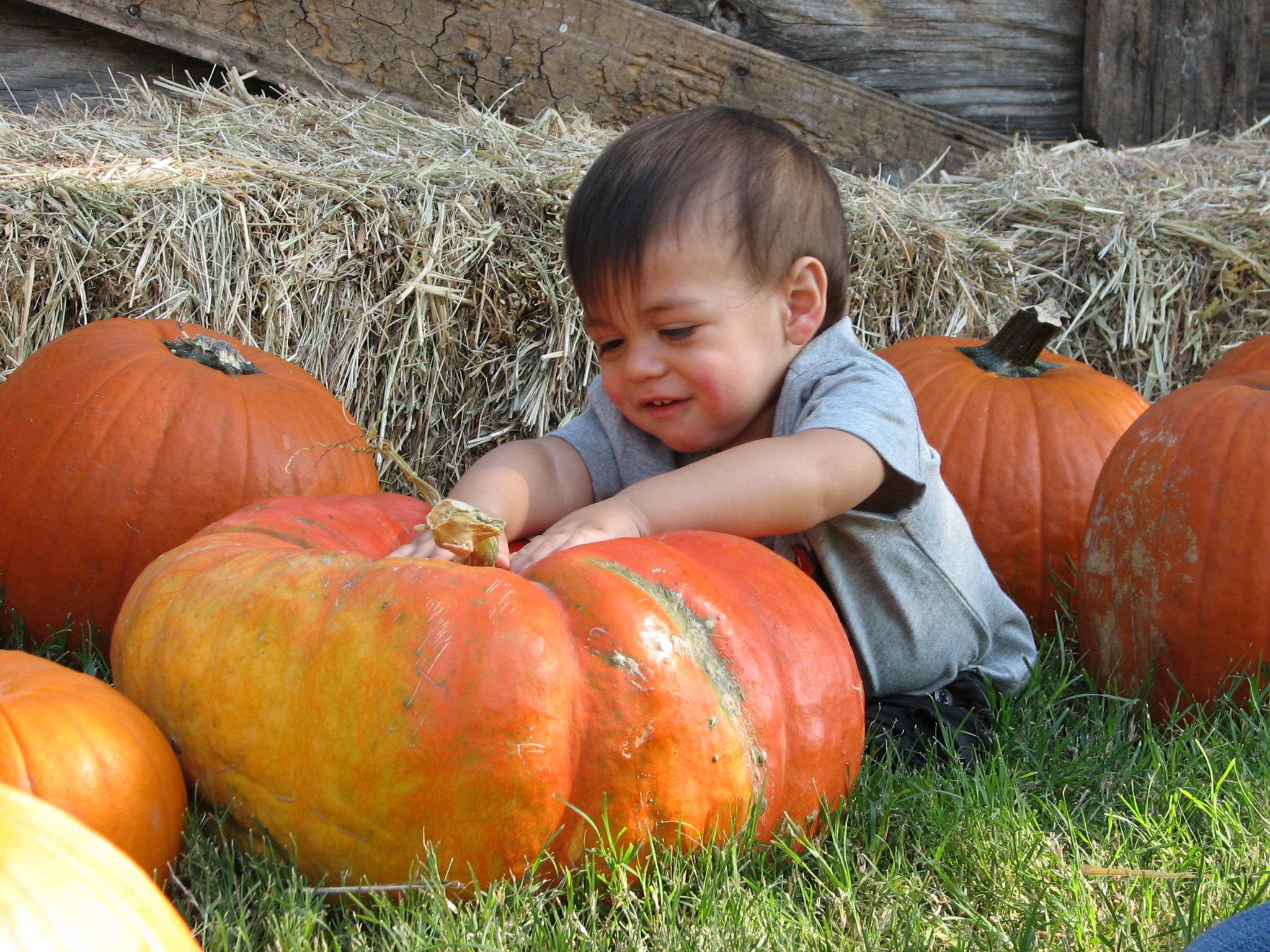 Joseph at the Big Orange Pumpkin Farm