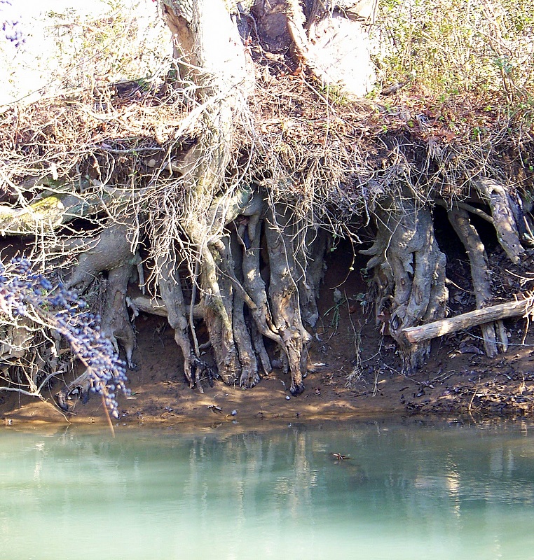 Erosion Exposure