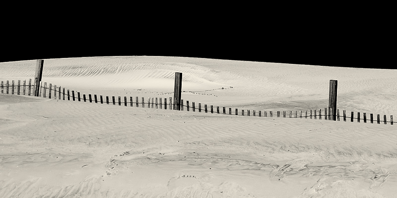 Fence and Dune