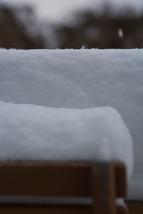 early snow
