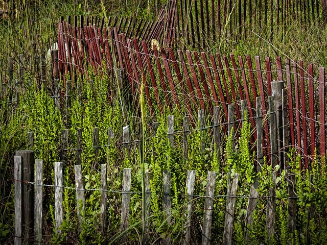 The Red Fence