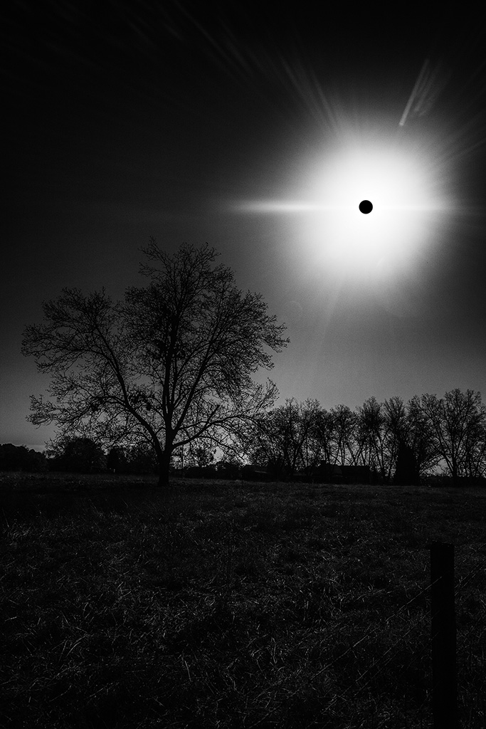 Second Place - In The Shadow Of The Black Sun - by Phydoux